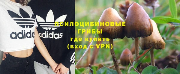 гидра Алексин