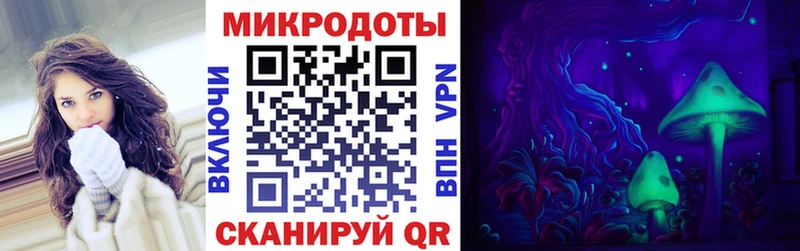 как найти   Злынка  Галлюциногенные грибы ЛСД 