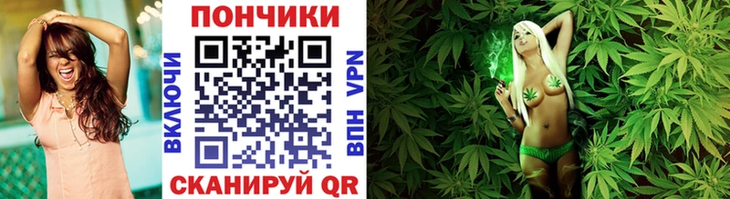 Бошки марихуана план  где продают   Злынка 